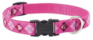 LupinePet Originals Puppy Love Dog Collar - 3/4 Inch, 15-25 Inch Adjustable