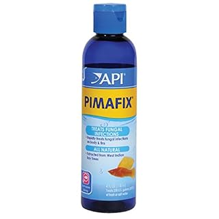 API PimaFix Antifungal Fish Remedy - 4 fl oz - Treats Fungal & Bacterial Infections in Fresh & Saltwater Aquariums