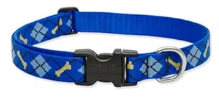 LupinePet Originals Dapper Dog Collar - 1" Wide, Adjustable 12-20" - Medium/Large Dogs