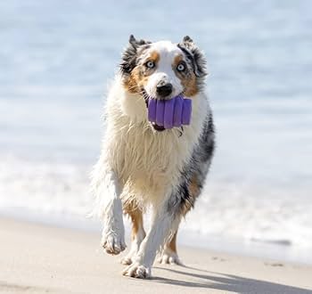 Project Hive Large Dog Chew Toy - Calming Lavender Scented, Purple Hive Shape