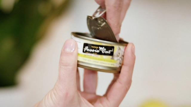 Fussie Cat Gold Chicken with Gravy Grain-Free Wet Cat Food, 5.5 oz Can