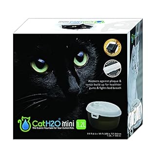 Cat H2O Mini Pet Water Fountain, 1.2 Liters, White, with Filter & Dental Care Tablet