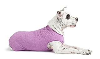 Gold Paw Sun Shield Tee - Violet, Size 20 - Dog & Cat UV Protection Shirt