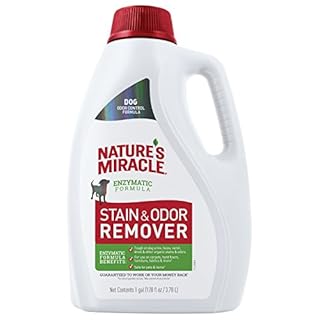 Nature's Miracle Dog Stain & Odor Remover - Enzymatic Formula, 1 Gallon (128 oz)