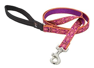 LupinePet Originals 3/4" Alpen Glow 6 ft Dog Leash
