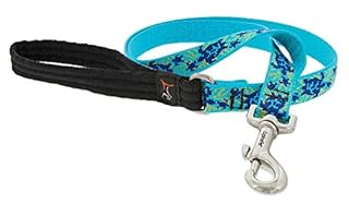 LupinePet Originals 3/4" Turtle Reef 6-Foot Padded Dog Leash - Medium/Large Dogs