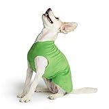 Gold Paw Stretch Fleece Dog Coat - Grass Green - Size 12