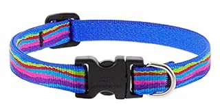 LupinePet Ripple Creek Dog Collar - 1/2 inch Wide, Adjusts 6-9" - Extra Small