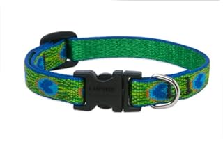 LupinePet Originals 1/2" Tail Feathers Dog Collar, Adjustable 8-12"