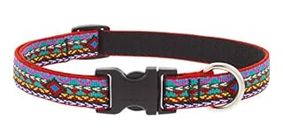LupinePet El Paso Dog Collar - 3/4 Inch Wide, Adjustable (15-25")