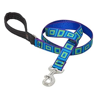 LupinePet Originals 1" Sea Glass Dog Leash, 6ft - Padded Handle