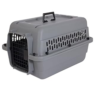 Petmate Aspen Pet Traditional Kennel, 24-Inch, for Dogs 10-20 Lbs