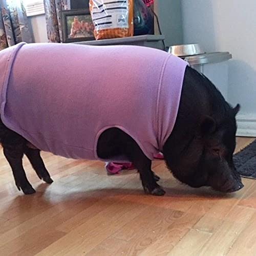 Gooby Stretch Fleece Dog Vest - Pullover Sweater Jacket for Small to Large Dogs - Gray, 4X-Large