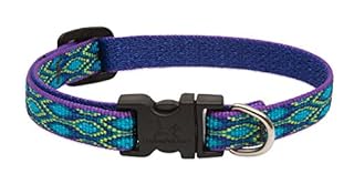 LupinePet Originals Rain Song Dog Collar - 1/2 inch Width, Adjustable 10-16 inch