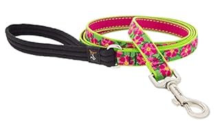 Lupine Petunias Dog Leash - 3/4 inch x 6 ft Woven Pattern