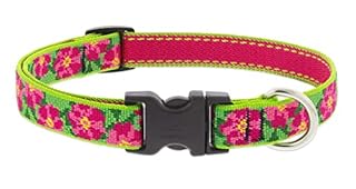 LupinePet Original Petunias Dog Collar - 3/4 inch Width, Adjustable 9-14"