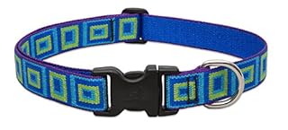 LupinePet Originals Sea Glass Dog Collar - 1" Wide, Adjustable 12-20"