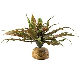 Exo Terra Star Cactus Terrarium Plant - PT2982 - Artificial Reptile Habitat Decor