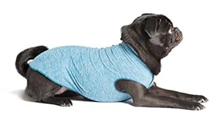 Gold Paw Sun Shield Tee for Dogs and Cats - UV Protection UPF50+ - (Ocean Blue, 16)