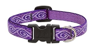 LupinePet Originals 1/2" Jelly Roll Adjustable Dog Collar, 8-12" Neck