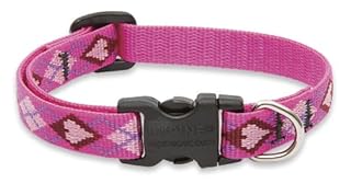 LupinePet Puppy Love Dog Collar - 1/2 inch, 8-12 inch Adjustable