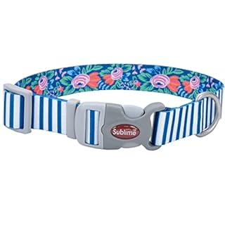 Coastal Pet Sublime Dog Collar Teal Stripe Flower 1.5" 18-26"