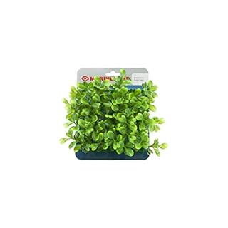 Marineland Boxwood Plant Mat - Aquarium Decoration - 5.25" x 5.25" Artificial Plant for Fish Tank