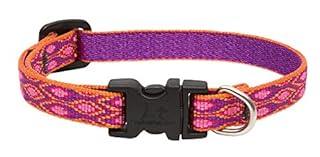 LupinePet Originals 1/2" Alpen Glow Dog Collar - Adjustable 8-12" - Small Dogs