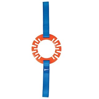 ChuckIt! Ring Tug Dog Toy - Large - Interactive Tug & Fetch