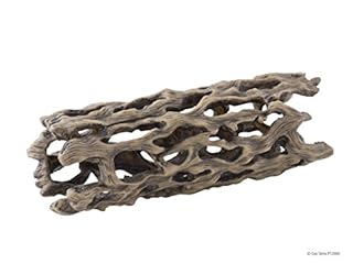 Exo Terra Cholla Cactus Skeleton - Large - Reptile Hide Decor