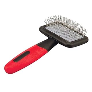 Mini Soft Tip Dog Brush with Plastic Pins