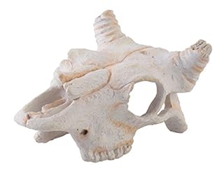 Exo Terra Buffalo Skull - Small - Reptile Terrarium Hideout Decor