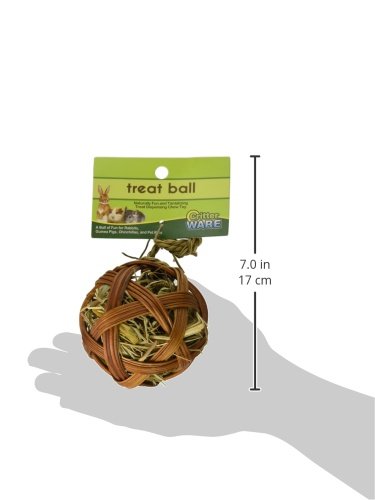 Ware Small Animal Edible Treat Ball - Willow, 4 Inch - Chew Toy for Rabbits, Guinea Pigs, Hamsters