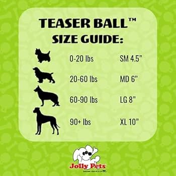 Jolly Pets Teaser Ball Dog Toy - 4.5 inch, Red - Interactive & Durable Chew Toy