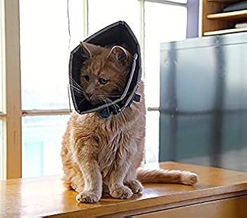 AFP Comfy Cone - XXL - Tan - Soft Padded Pet Recovery Collar - All Four Paws