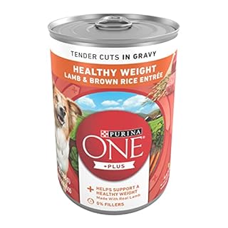 Purina ONE SmartBlend Healthy Weight Lamb & Brown Rice Wet Dog Food, 13 oz Can