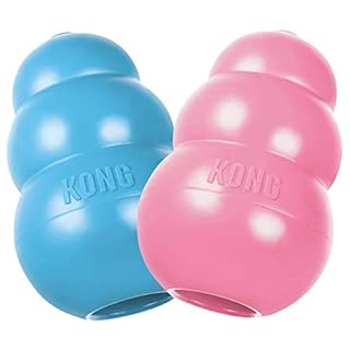 Kong Puppy Small Dog Toy - Teething Rubber, Assorted Colors