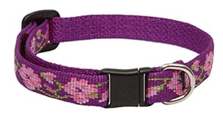 LupinePet Originals 1/2" Rose Garden Cat Safety Collar, Adjustable 8-12"