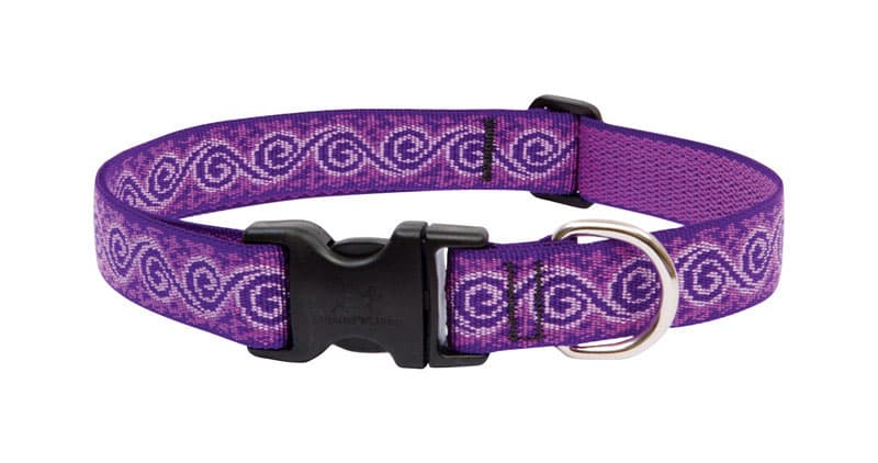 LupinePet Originals 1" Jelly Roll Dog Collar - Adjustable 12-20"
