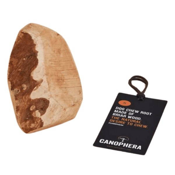 Canophera Dog Chew Briar Root Wood - Natural Long Lasting Treat for Small Dogs