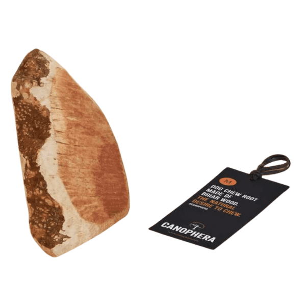 Canophera Medium Briar Root Dog Chew - Natural Wood Stick for Dogs up to 45 lbs