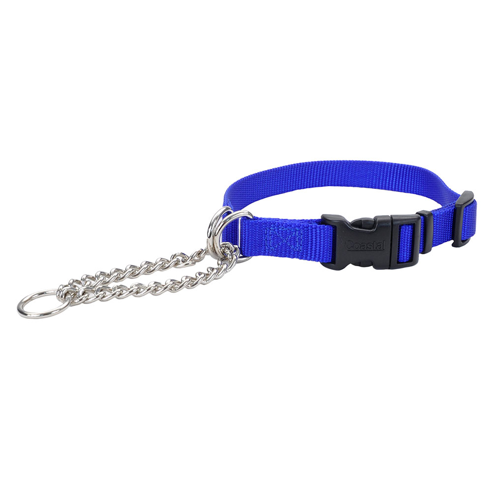 Coastal Adjustable Check with Buckle Training Dog Collar, Blue, 5/8 in x 14-18 in