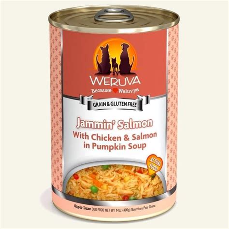 Weruva Jammin' Salmon Dog Food - Classic Grain-Free Wet Food, 14 oz Can
