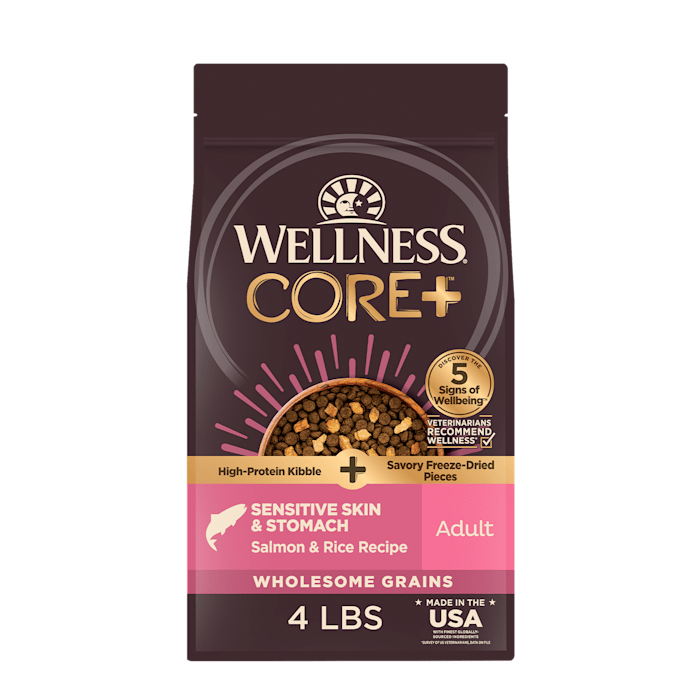 Wellness CORE+ Sensitive Skin & Stomach Salmon & Rice Dry Dog Food, 4 lb Bag