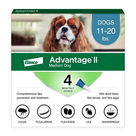 Flea and Lice Treatment for Dogs, 11-20 lb, 4 doses, Advantage II