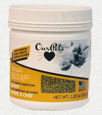 Dave's Cat Restricted Diet Chicken Grain-Free Phosphorus, 5.5oz Can