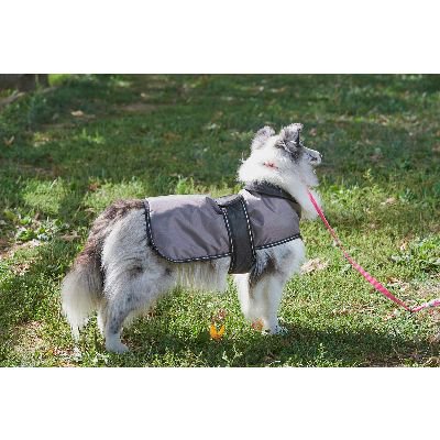 Outdoor Dog Arctic Coat - Grey & Black - Size XS - Warm & Durable