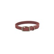 Coastal Pet Circle T Rustic Leather Dog Collar - Brick Red - 3/4" x 18"
