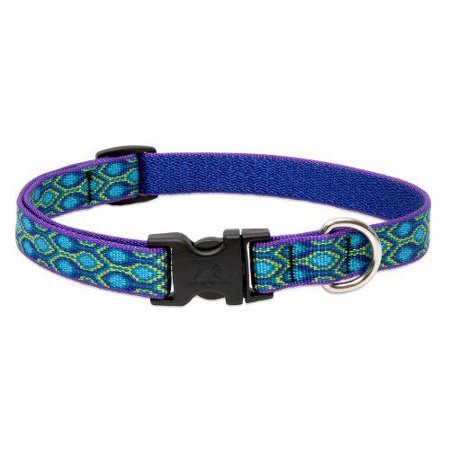 LupinePet Rain Song Dog Collar 3/4 inch, Adjustable 9-14 or 14-20 inch