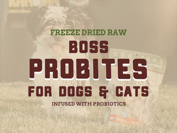 Boss Dog ProBites Lamb with Tripe Dog & Cat Treats, Freeze-Dried Raw, 3 oz Bag